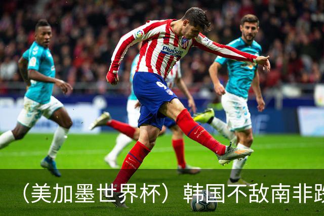 （美加墨世界杯）韩国不敌南非跌至小组第三 出线前景待定